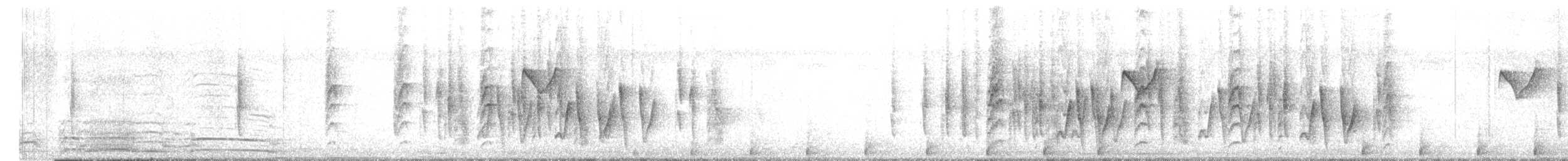 Ошейниковая веерохвостка - ML528022201