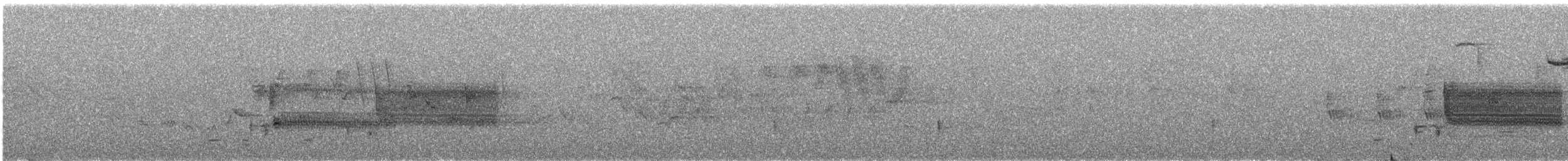 vlhovec červenokřídlý - ML528041931
