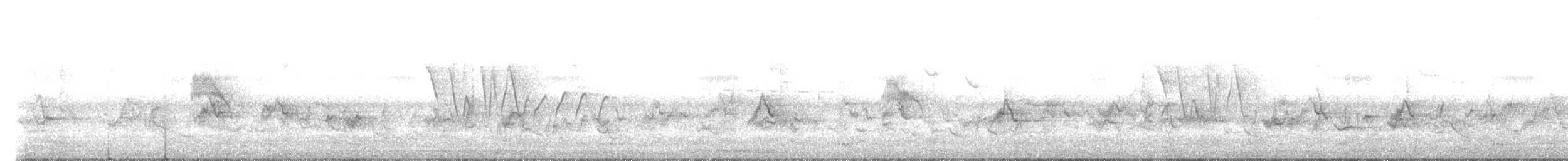 Indian Robin - ML528067741