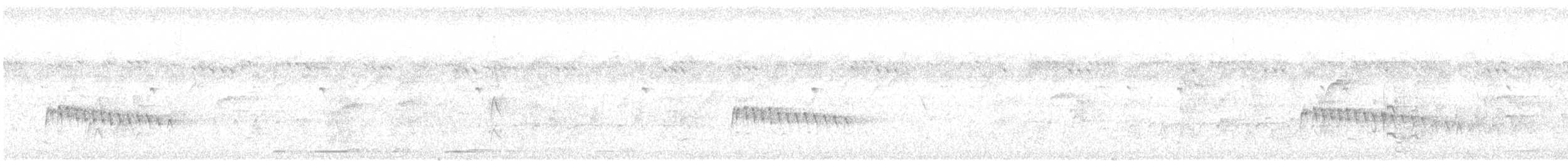 Гвінейниця жовтогруда - ML52811181