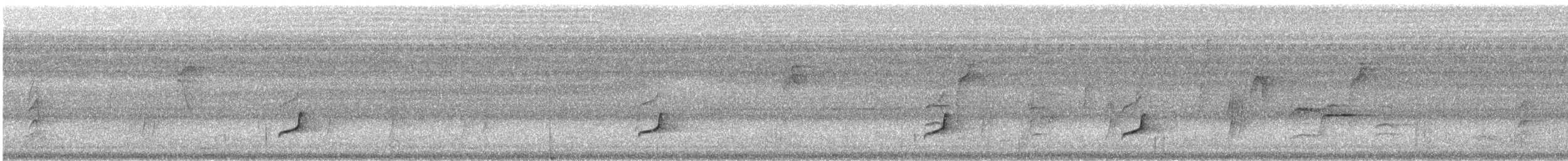 Schlankfuß-Kleintyrann - ML528126401