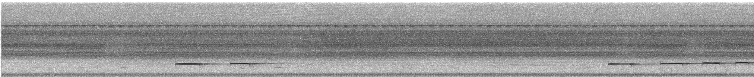Таязура-клинохвіст велика - ML528126421