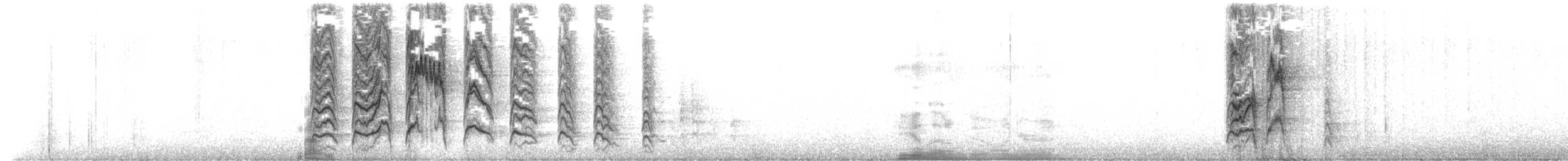 Zozo papargorria [migratorius Taldekoa] - ML528135381