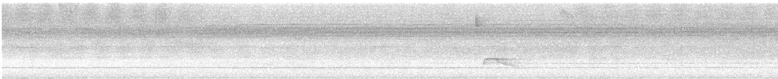 Gray-lined Hawk - ML528135641