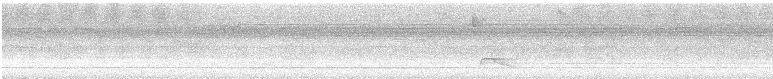 Gray-lined Hawk - ML528135641