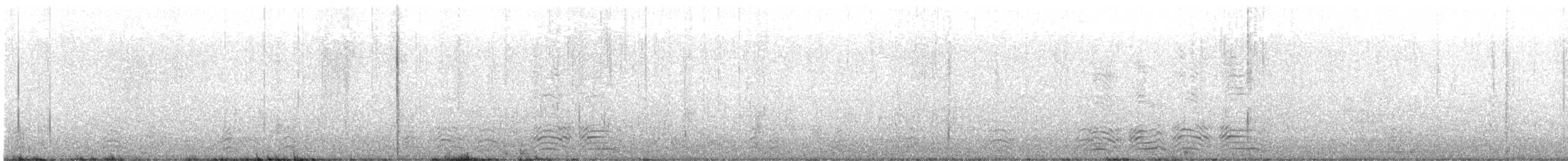 コオリガモ - ML528136211