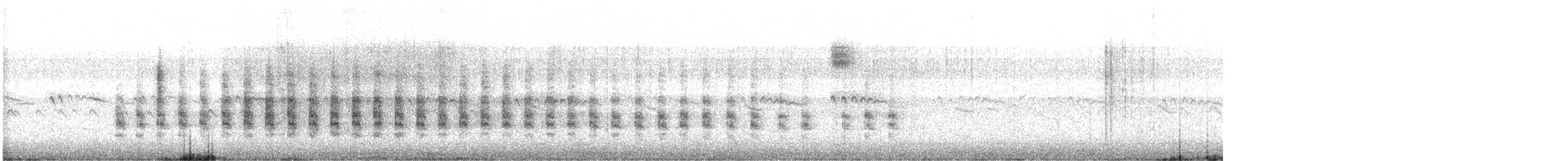 chřástal aztécký - ML528148731