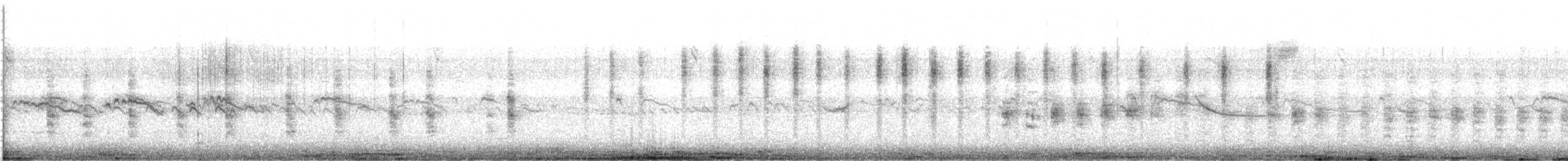 chřástal aztécký - ML528149091