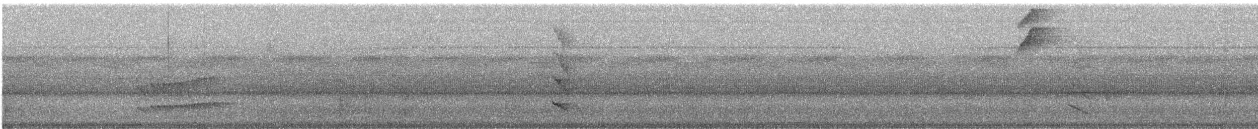 Todirostre de Joao - ML528155951