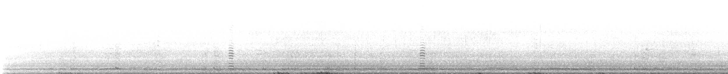 Borazancı Kuğu - ML528176231