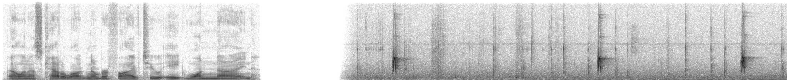 Goldohrspecht - ML52819