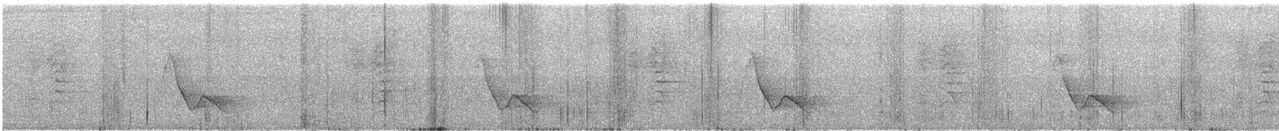 Black-winged Monarch - ML52819661