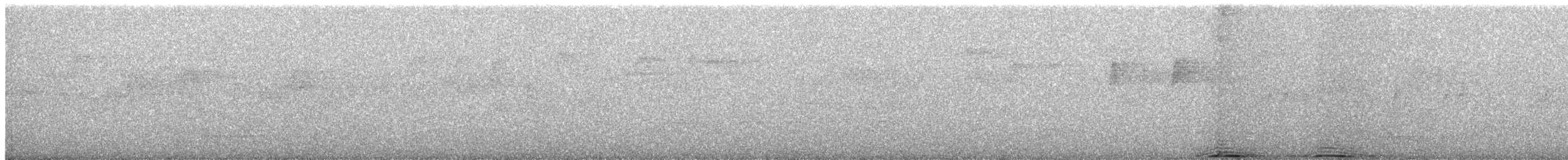 holub čarokrásný - ML528286581