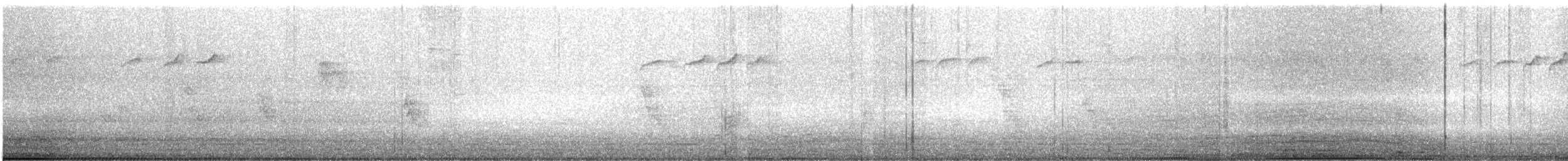 passerine sp. - ML528359451