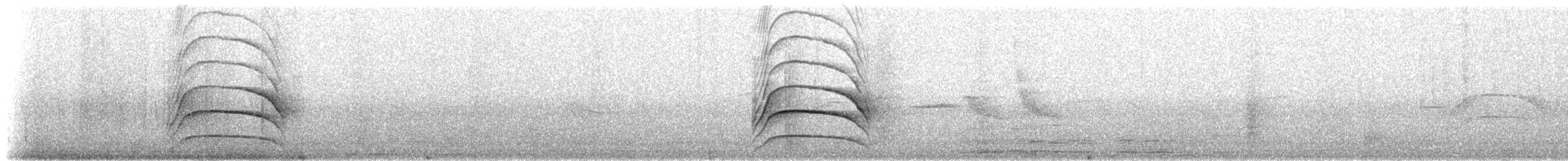 Schwefelmaskentyrann - ML528372881