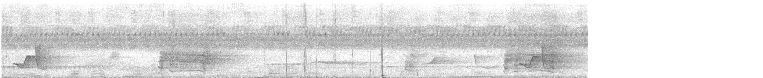 Miro à flancs noirs - ML528381231