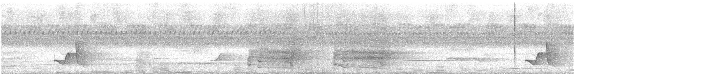 Miro à flancs noirs - ML528381271