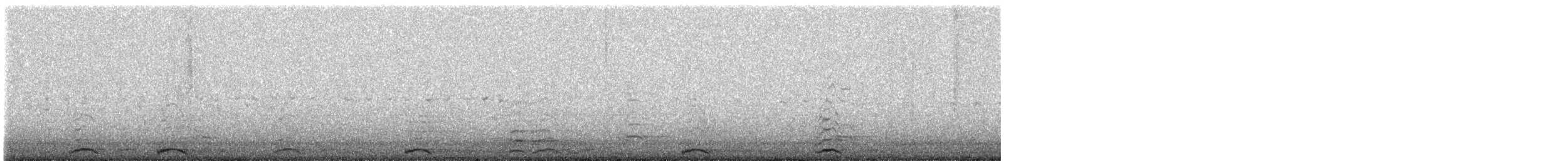 Cygne siffleur - ML528413141