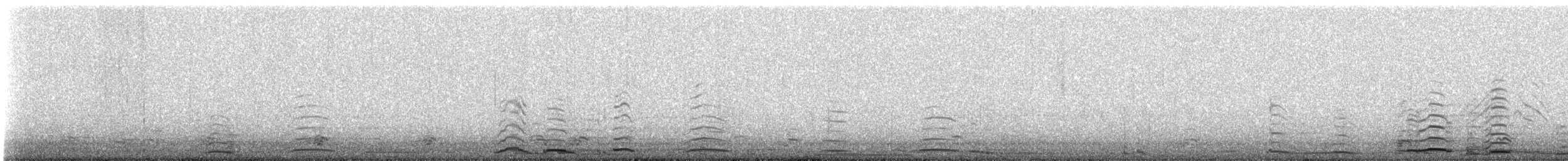 Cygne siffleur - ML528413151