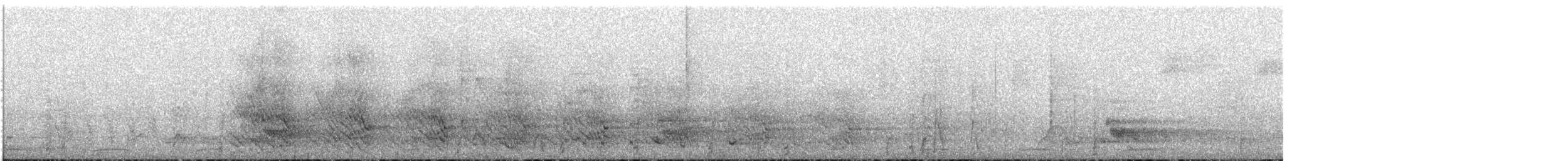 Black-faced Cuckooshrike - ML528419591