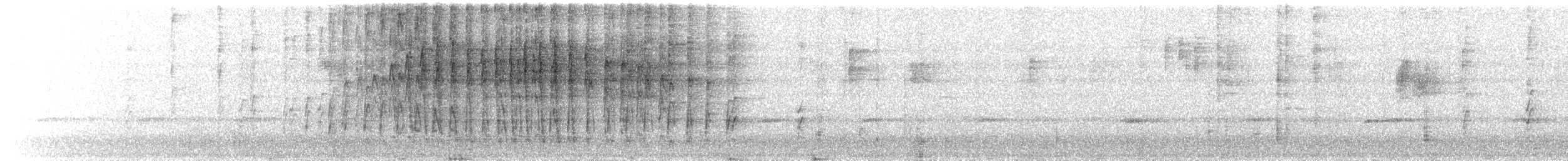 Superciliaried Hemispingus - ML528465021