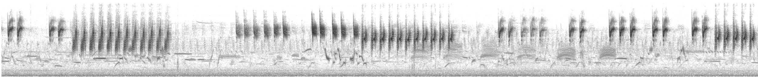 Worthen's Sparrow - ML528468731
