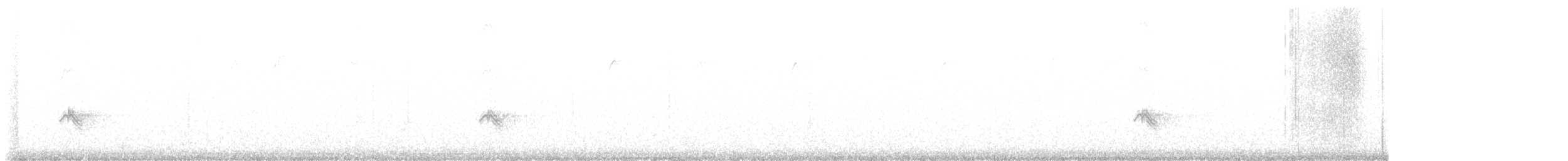 Evening Grosbeak (type 3) - ML528487931