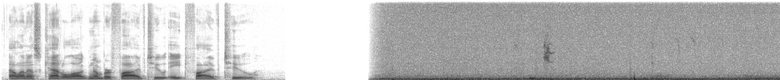 American Pika - ML52852