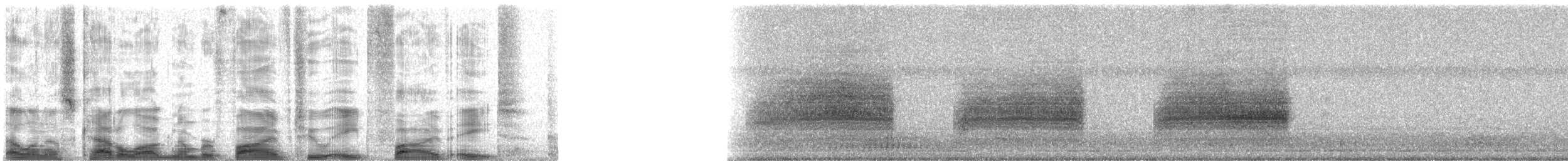 Prairie Warbler - ML52858