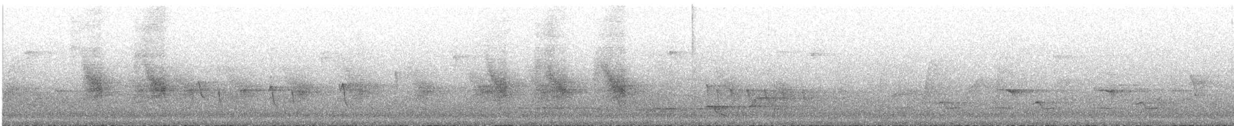 hvitnakkehonningeter - ML528597921