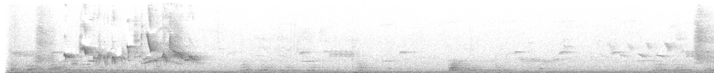 Kara Karınlı Sığırcık - ML528599341