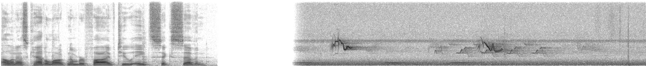 Yellow-throated Vireo - ML52867