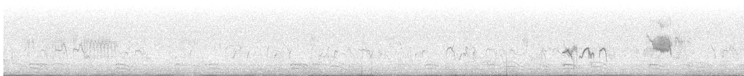 Pin-tailed Sandgrouse - ML528685421