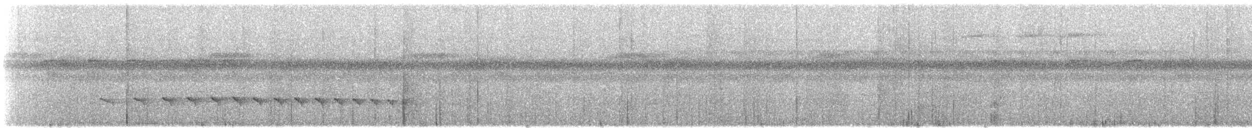 skjeggmaursmett (obscura) - ML528689081