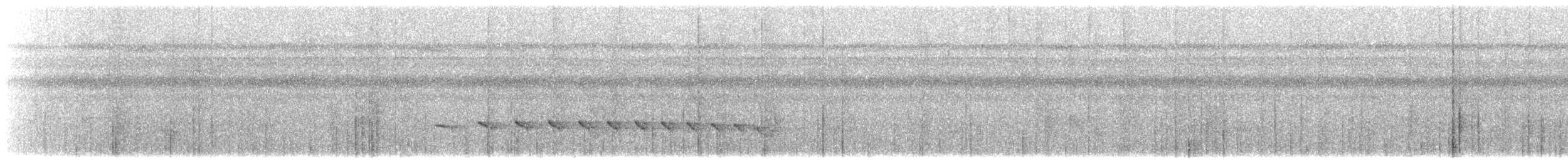 コバシヒメアリサザイ（obscura） - ML528689091
