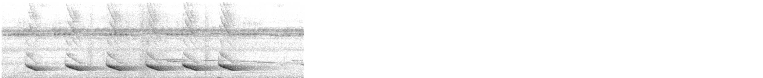 Wilson's Bird-of-Paradise - ML528693131