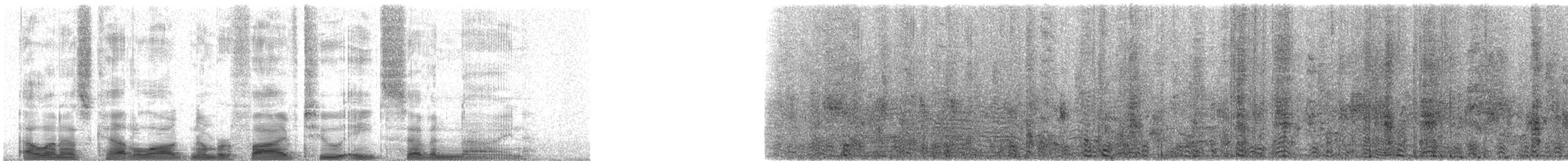 Wood Stork - ML52879