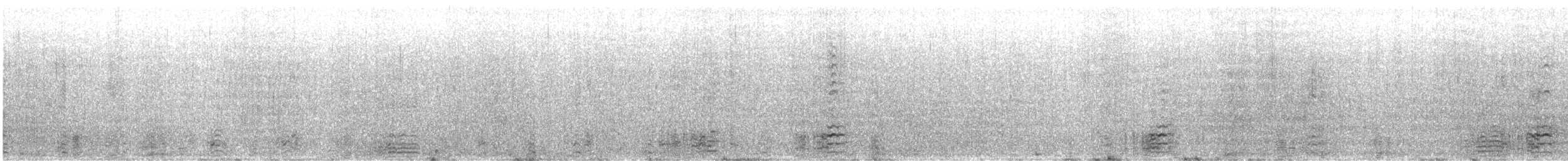 黑雁(nigricans) - ML528861631