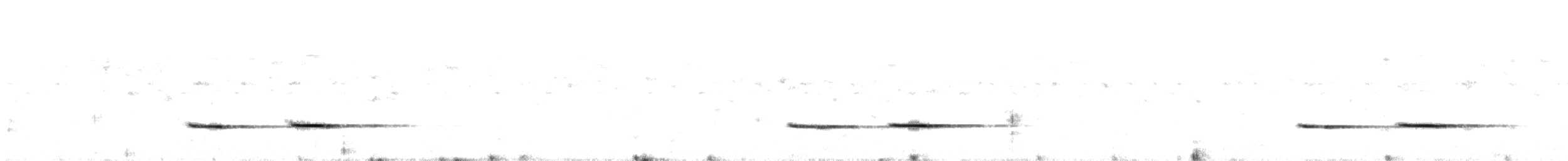 Striped Cuckoo - ML528913971