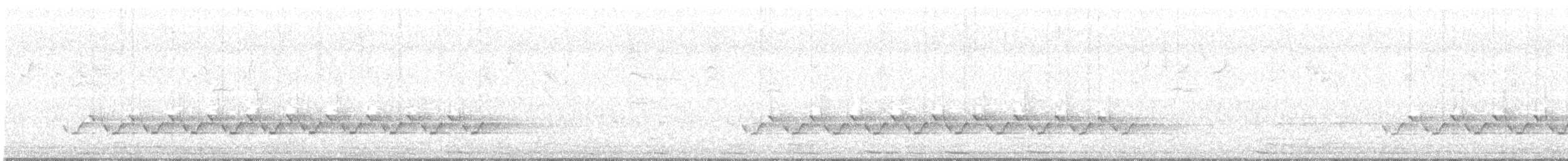 Carolina Wren - ML52892951
