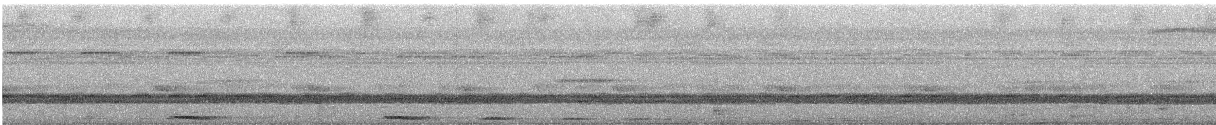 Chevêchette à queue barrée - ML528961991