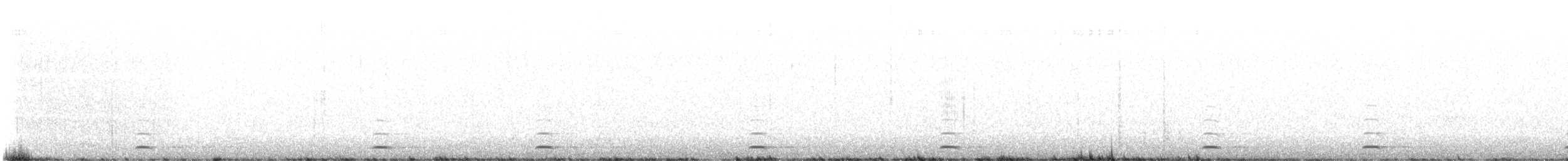 Chevêchette naine - ML528970021