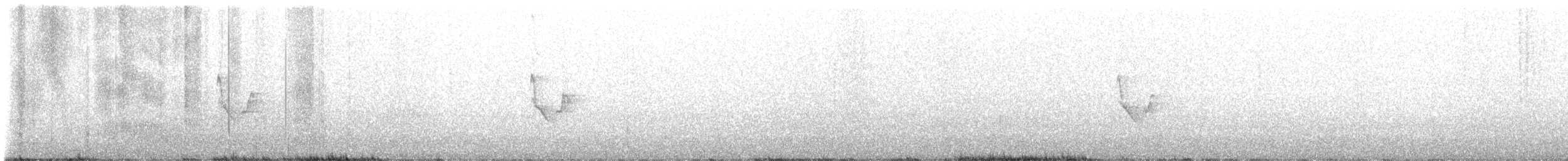 hvitvingehvitstjert - ML528977881