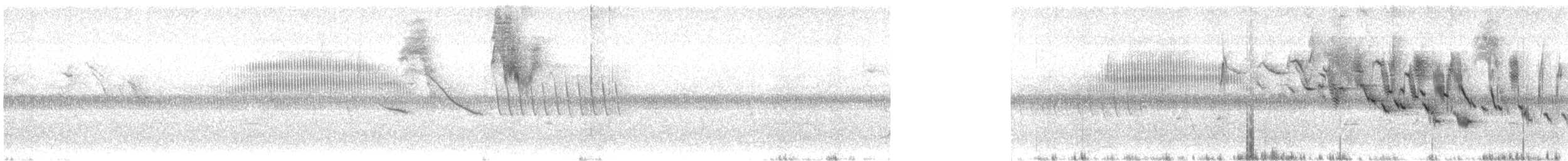 Strichelrücken-Dickichtschlüpfer - ML528992441