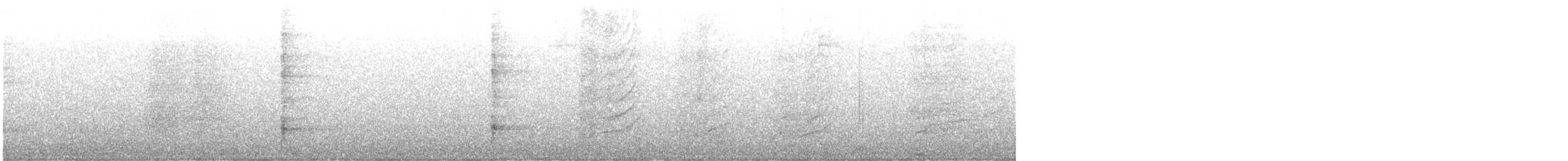 Weißbandhäher - ML529009971
