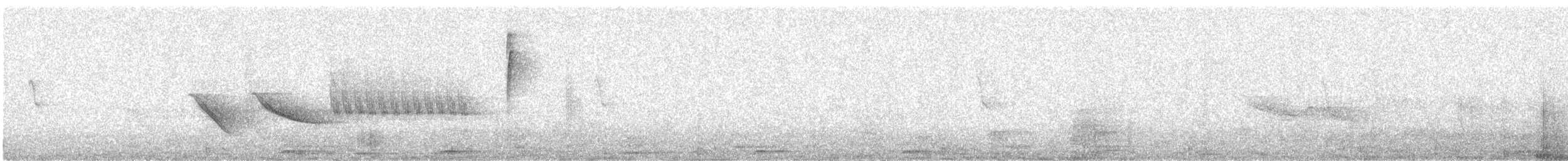 Серый конусоклюв - ML529013851