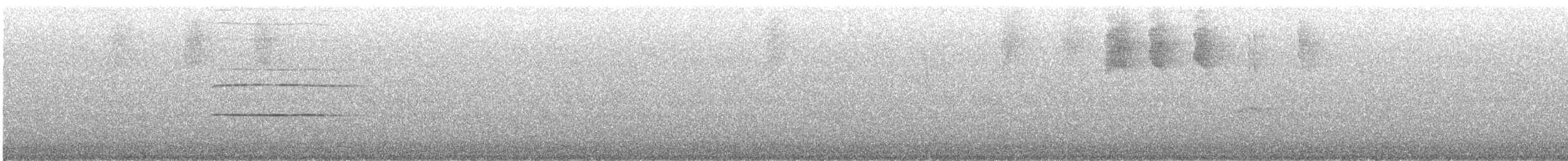 White-eared Solitaire - ML529024031