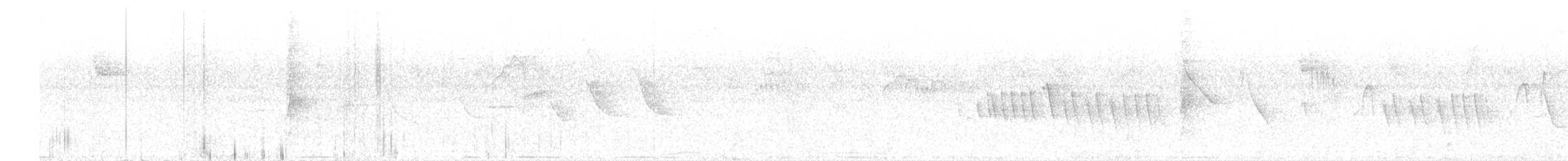 hvitkronefrøeter - ML529151741