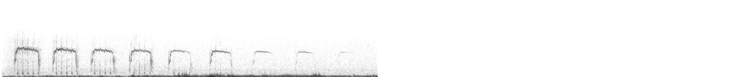 Tinamou orné - ML529172861