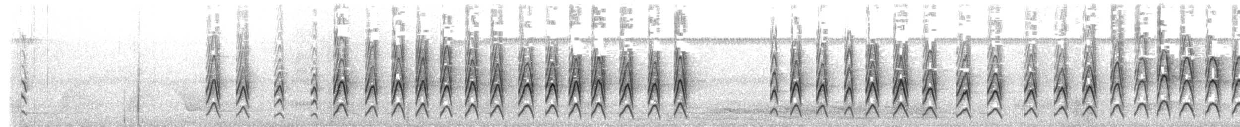 Black-tailed Leaftosser - ML529197991